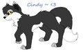 Cindy the wolf pup x3 - fans-of-pom photo