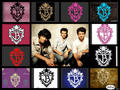 Jonas Bros collage - the-jonas-brothers photo