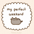 Pusheen's Perfect Weekend - pusheen-the-cat photo