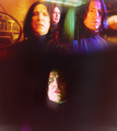 Severus Snape - severus-snape fan art