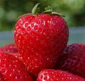 Strawberry - random photo