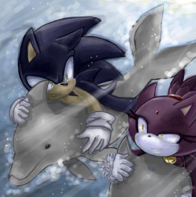 blaze and sonic on dolphins