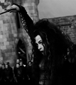 Bellatrix! <3 - harry-potter photo