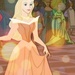 DIsney Princess - disney-princess icon