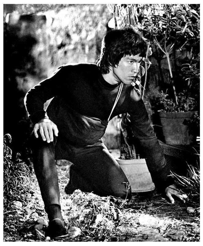 Der Wahre Bruce Lee [1973]