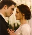 HQ scans of the "Breaking Dawn - Part 1" illustrated movie companion - twilight-series photo