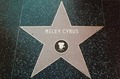 Miley's Star on Hollywood walk of fame (FAN ART) - miley-cyrus fan art