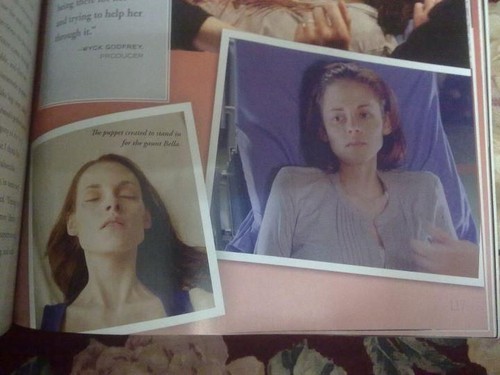  New pics/scans from the "Breaking Dawn - Part 1" illustrated movie companion