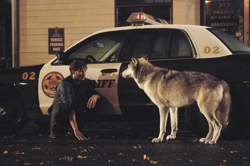  Sheriff Graham & Wolf- 1x07