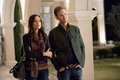 The Vampire Diaries - First Look at Torrey DeVitto - the-vampire-diaries-tv-show photo