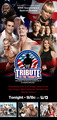 WWE Tribute to the Troops - wwe photo