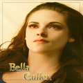 bella cullen - breaking-dawn-the-movie fan art