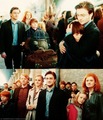 19 Years Later - harry-potter photo