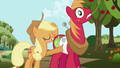 Apple Jack - my-little-pony-friendship-is-magic photo