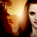 Breaking Dawn - Twilight Series - movies icon