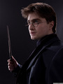 DH1 - harry-potter photo