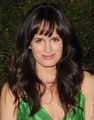 Elizabeth at the "Young Adult" premiere in Los Angeles - elizabeth-reaser photo