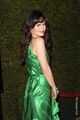 Elizabeth at the "Young Adult" premiere in Los Angeles - elizabeth-reaser photo