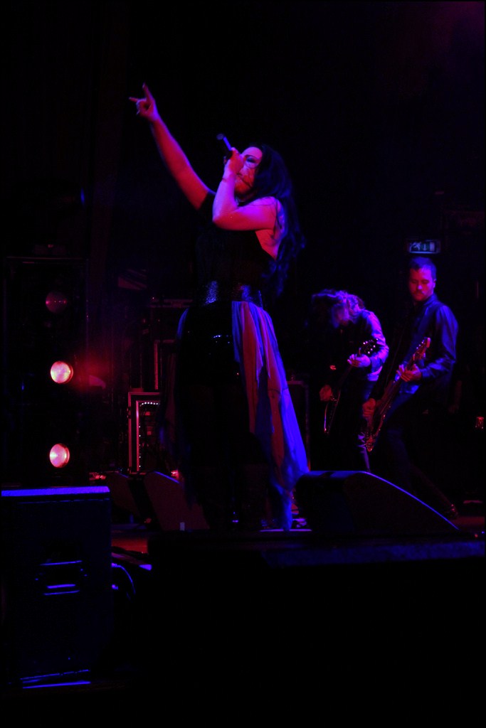 Evanescence 2011 Live