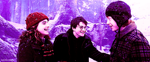  Harry, Ron & Hermione <3