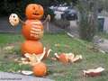 Pumpkin murder - random photo