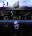 The Prince's Tale - harry-potter photo