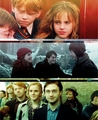 Through The Years - harry-potter photo