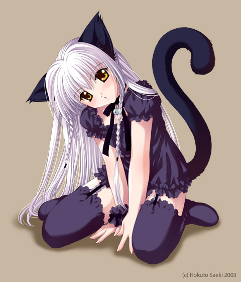 cute anime cat!!! - Catgirls Photo (27758992) - Fanpop