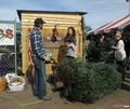  Khloe gets a Christmas tree at the North Pole in Dallas - 20/12/2011 - khloe-kardashian photo