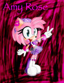 Amy Rose - sonic-the-hedgehog fan art