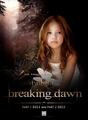 Breaking Dawn - Part 1 - twilight-series photo