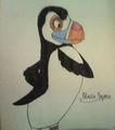 Hans the puffin - drawing photo
