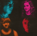Harry, Ron, Hermione & Draco - harry-potter photo