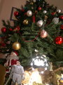 Joppa got her Arthur under the tree!! - arthur-and-gwen photo