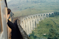 On The Way To Hogwarts - harry-potter photo
