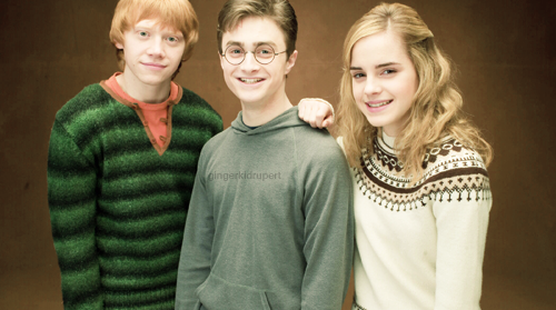  Ron, Harry and Hermione