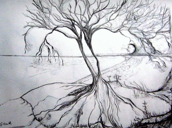 drawing nature scenery