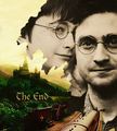 The End - harry-potter photo