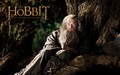 the-hobbit - The Hobbit: An Unexpected Journey wallpaper