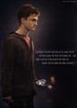 The Prophecy - harry-potter photo