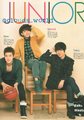 VIVI’Japanese Magazine, Feb Issue  - super-junior photo