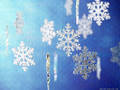 winter - Wonderful Winter wallpaper