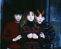 Year One - harry-potter photo