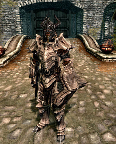  my new Dragon armor in skyrim