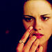 twilight - the-cullens icon