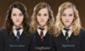 As, Ravenclaw, Gryffindor, Slytherin - hermione-granger fan art