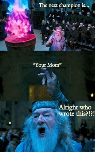 Harry Potter Funnies