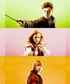 Harry, Ron & Hermione - harry-potter photo