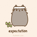 New Year's Resolutions - Expectation - pusheen-the-cat photo
