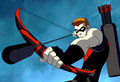 Skittle 98 PICS!!!!!!!!!!!! - young-justice photo